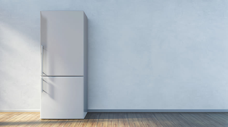 geïrriteerd raken Stoffelijk overschot Samuel Vrijstaande koelkast kiezen? Bekijk ons advies | MediaMarkt