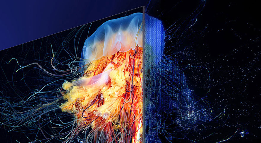 Close-up van een tv-scherm toont een kwall in felle kleuren, waardoor de levendige, gedetailleerde beeldkwaliteit opvalt. 