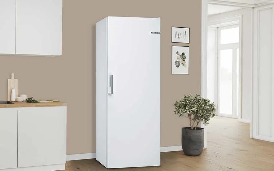 Bright kitchen with tall white fridge on beige wall, beside light worktop with cabinets, two framed prints and a green plant.
