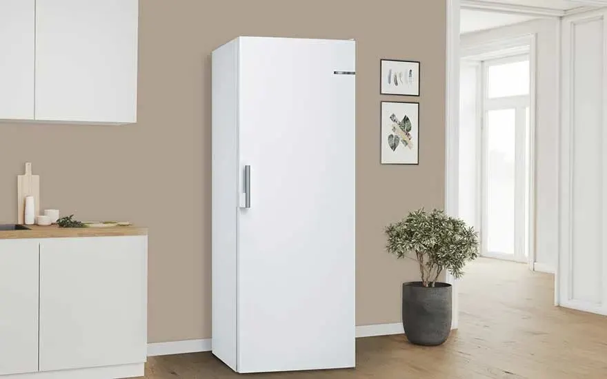 Bright kitchen with tall white fridge on beige wall, beside light worktop with cabinets, two framed prints and a green plant.