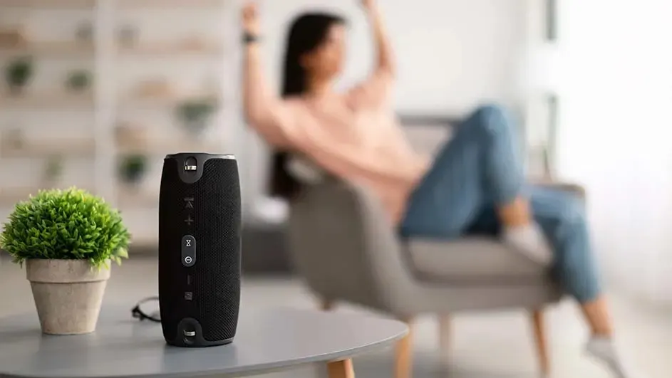 Een zwarte bluetooth speaker en een groene plant staan op een grijze tafel, met op de achtergrond een persoon ontspannen in een stoel.