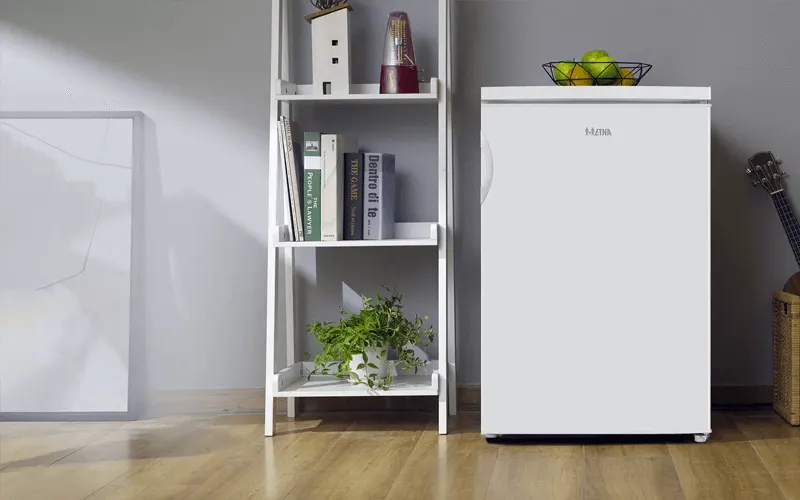 Witte Etna koelkast naast een witte boekenkast met boeken en planten, en een fruitschaal bovenop de koelkast.