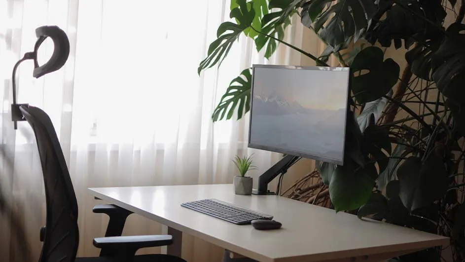 Bureau met toetsenbord, muis en scherm, naast een grote kamerplant en een bureaustoel voor een raam met gordijnen.
