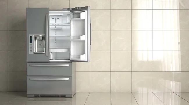 De indeling van de koelkast