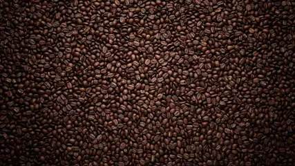 Een close-up van een grote hoeveelheid bruine koffiebonen die een vlak vullen.