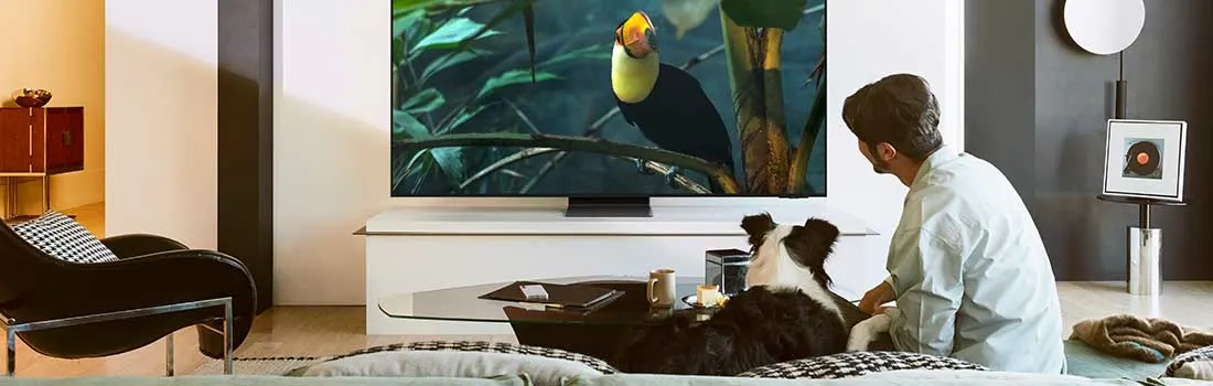 Een man en een hond kijken samen naar een tv met levendige natuurbeelden in een gezellig, eigentijds ingerichte woonkamer.