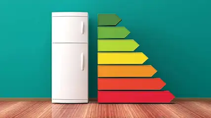 Een witte koelkast staat naast een energie-efficiëntielabel op een houten vloer tegen een groene muur.