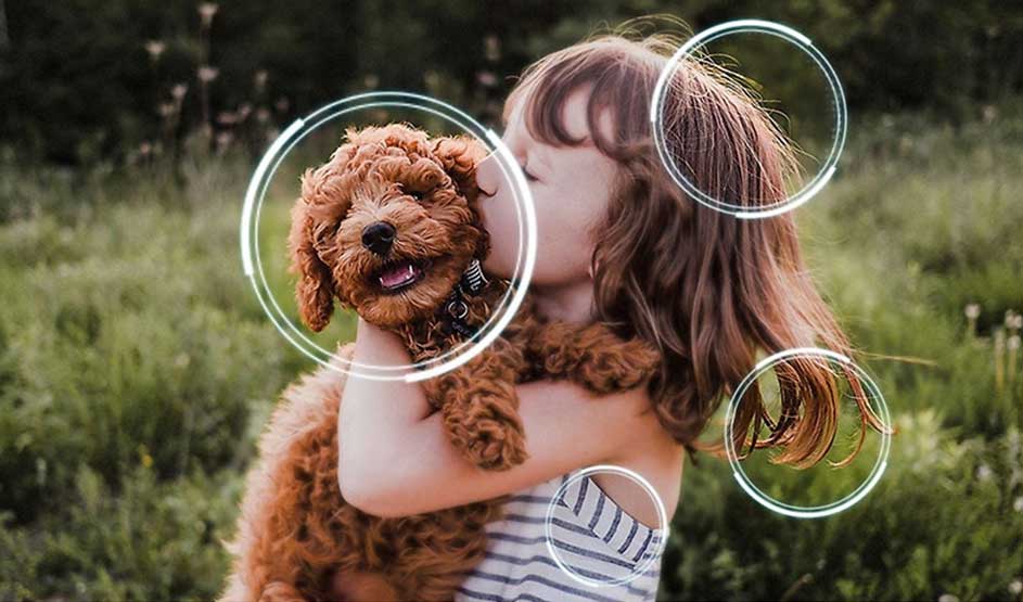 Een meisje knuffelt een bruine puppy in een grasveld; lichte cirkels markeren de hond, het haar en enkele details in beeld.