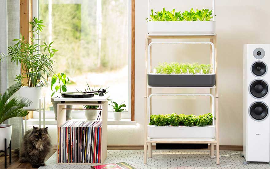A modern living room featuring a tiered smart garden full of leafy greens. Near a window sit houseplants, a record player atop vinyl storage, and a fluffy grey cat.