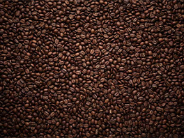Wat zijn de beste koffiebonen voor jou?