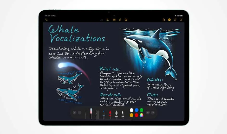 Op een iPad zie je een digitale notitie “Whale Vocalizations” met tekeningen van orka’s en uitleg, plus tekengereedschap en kleurpalet onderaan.