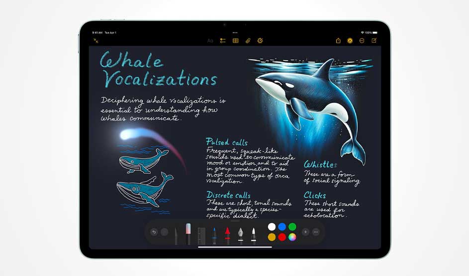 On an iPad there’s a digital note titled “Whale Vocalizations”, with orca drawings and explanations, plus drawing tools and a colour palette below.