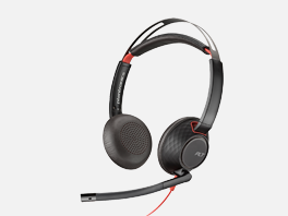 Audio