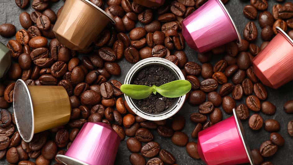 Koffiebonen en capsules in bruin en roze. Een blikje met aarde en een groene plant in het midden.