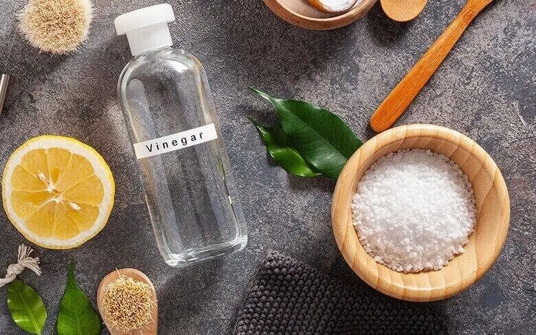 A bottle labelled vinegar, a wooden bowl of coarse salt, half a lemon, green leaves and cleaning brushes rest on a textured grey surface. No brand shown.