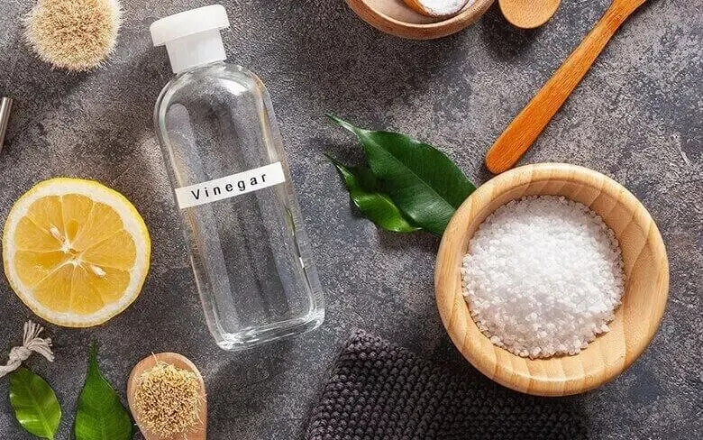 A bottle labelled vinegar, a wooden bowl of coarse salt, half a lemon, green leaves and cleaning brushes rest on a textured grey surface. No brand shown.