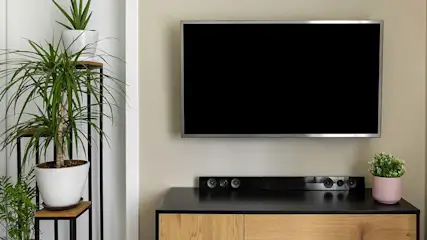 Een kamer toont een tv aan de muur, een zwart dressoir en planten op een metalen standaard.