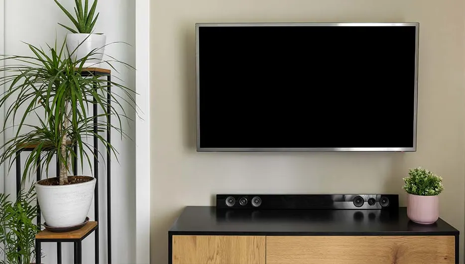 Een kamer toont een tv aan de muur, een zwart dressoir en planten op een metalen standaard.