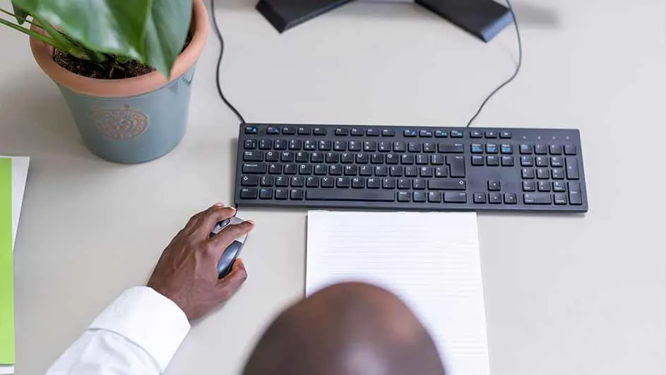 Een bureau met een toetsenbord, muis, papier, en een pot met een plant. Een persoon gebruikt de muis.