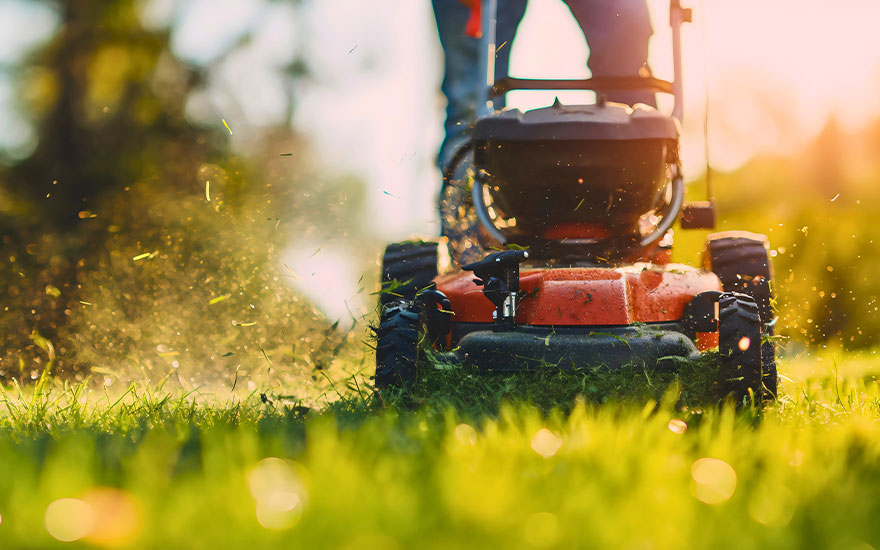 Een persoon maait het gras met een rode grasmaaier. Grasmaaisel vliegt op in het warme zonlicht, wat een levendige en zonnige sfeer creëert. Perfect voor een zomerse dag.