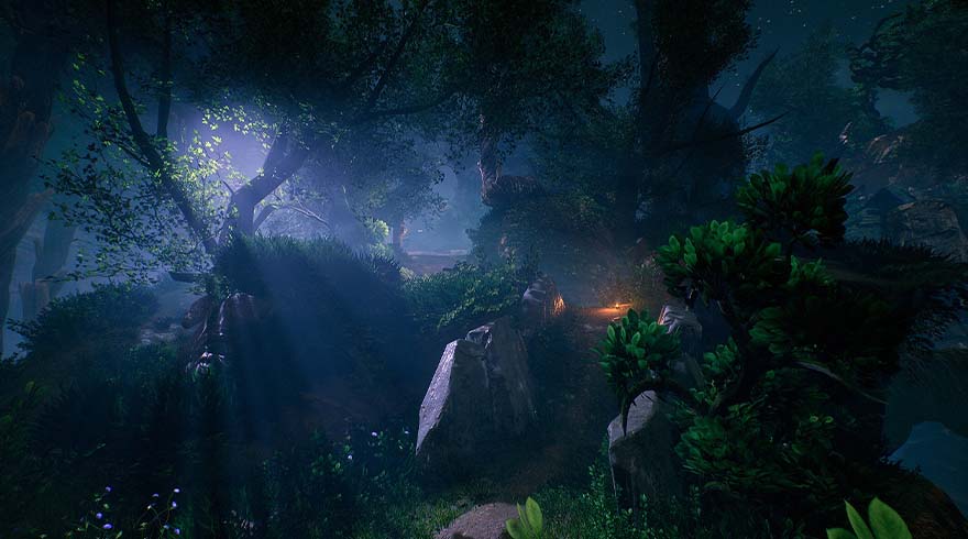 Een bosrijk landschap met bomen, groene planten en grote rotsen in een blauwachtig, mystiek licht.