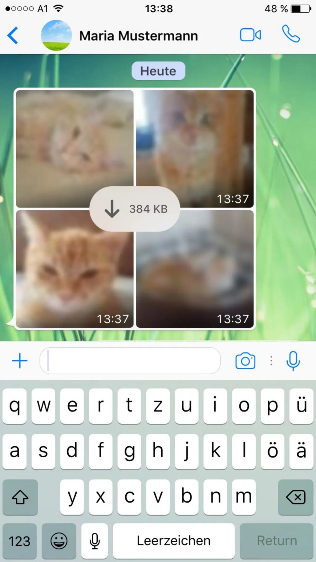 Screenshot eines Whatsapp Chats mit unscharfen Katzenbildern und einem Download Symbol.