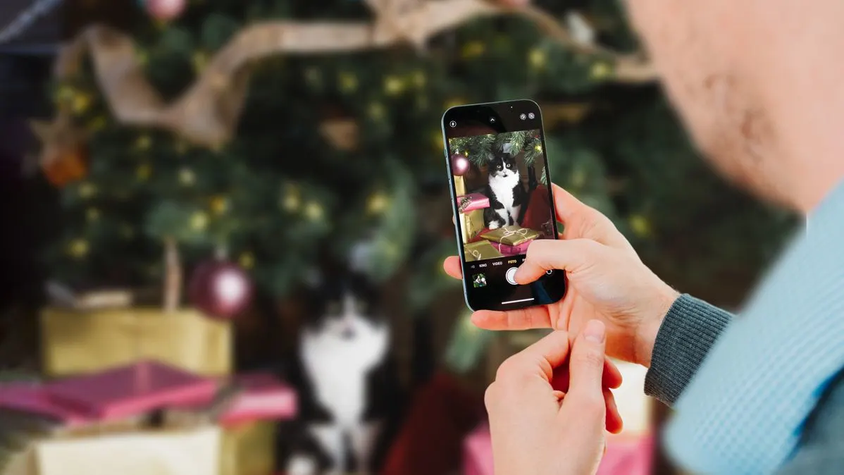 Hände halten ein Smartphone, das eine schwarz-weiße Katze zwischen goldenen und pinken Geschenken zeigt, während ein Foto gemacht wird.