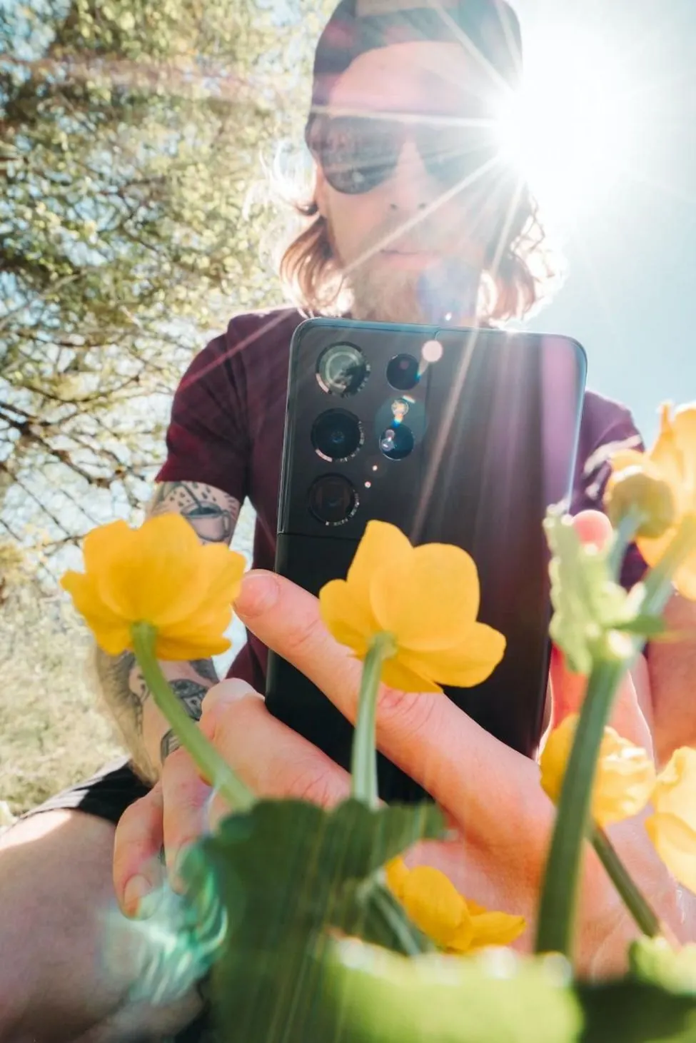 Person fotografiert gelbe Blumen mit Smartphone im Sonnenlicht.