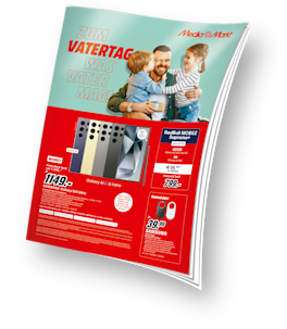 PDF-Download