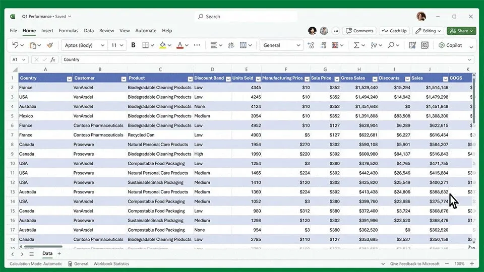 Screenshot einer Excel-Tabelle mit Länder-, Kunden- und Produktspalten sowie Zahlen zu Einheiten, Verkaufserlösen, Rabatten und COGS.