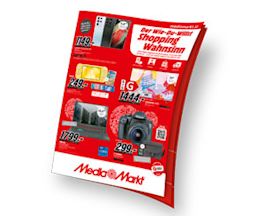 PDF-Download