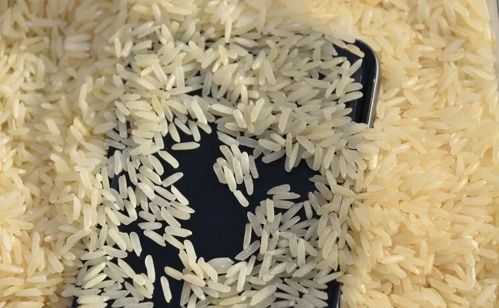 Ein Smartphone liegt auf Reiskörnern und ist fast komplett von Reis bedeckt.