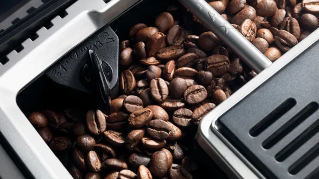 Nahaufnahme von Kaffeebohnen in einem weißen Behälter mit einem schwarzen Einstellknopf.