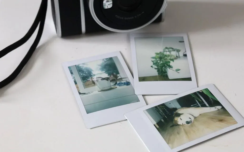 Nahaufnahme einer schwarzen Retro‑Kamera mit Trageriemen am oberen Bildrand auf weißer Oberfläche. Vor ihr liegen drei verstreute Sofortbilder: eines zeigt eine Teetasse auf der Fensterbank mit Außenblick, ein anderes eine grüne Topfpflanze, das dritte einen liegenden Hund auf Holzboden. Dezente Schatten auf der Tischfläche.