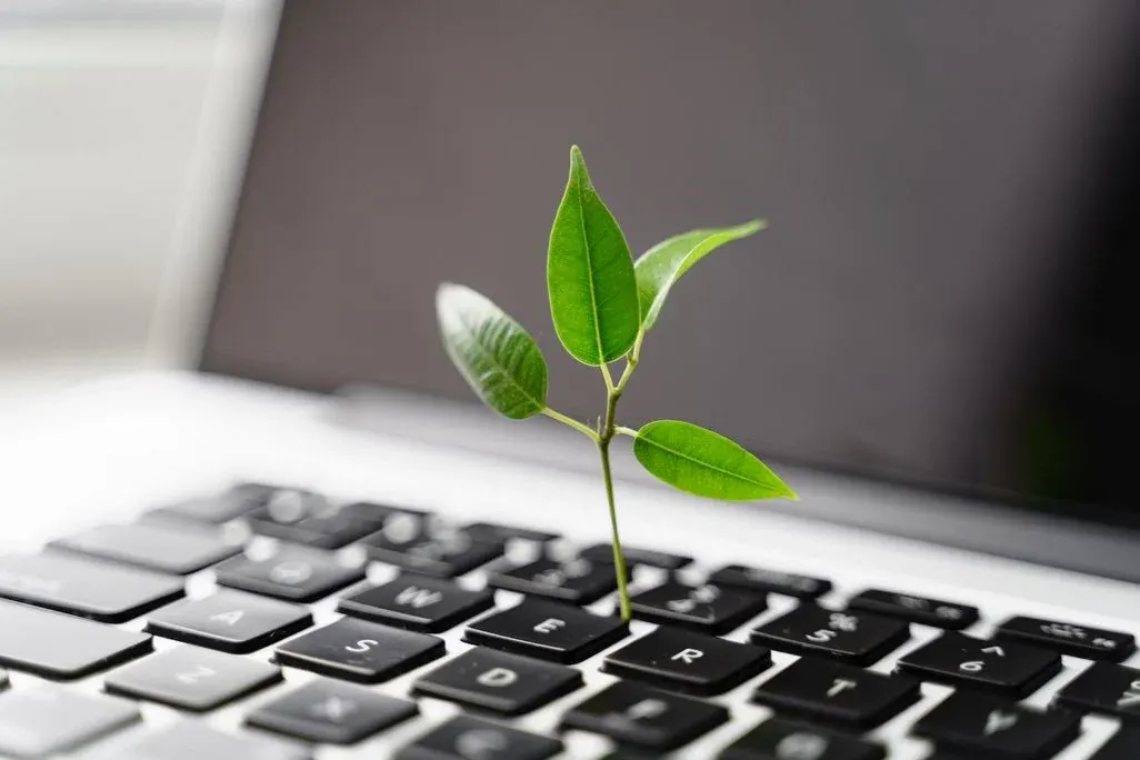 Ein kleines grünes Pflänzchen mit mehreren Blättern wächst aus einer Laptop-Tastatur mit schwarzen Tasten. Im Hintergrund ist der dunkle Bildschirm des Laptops.