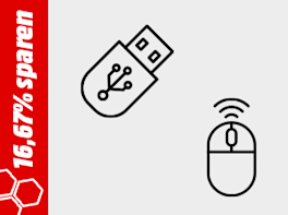 USB-Stick und Maus. Symbol für Aktionsmodelle aus dem Bereich "Zubehör" bei denen man jetzt 16,67% sparen kann.