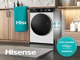 Gratis Vossen-Handtuch zu ausgewählten Hisense Modellen! 