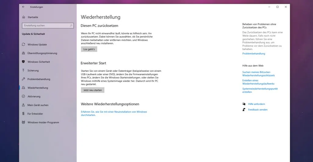 Windows Wiederherstellungsoptionen im Einstellungsmenü mit verschiedenen Reparatur-Tools.