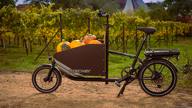 Ein schwarzes Lastenfahrrad mit Kürbissen in einer braunen Kiste. Im Hintergrund sind Weinberge und ein Haus zu sehen.