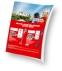 PDF-Download