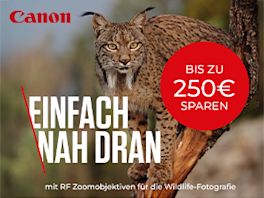 Product image of category Canon Objektive ideal für die Wildlife-und Sportfotografie