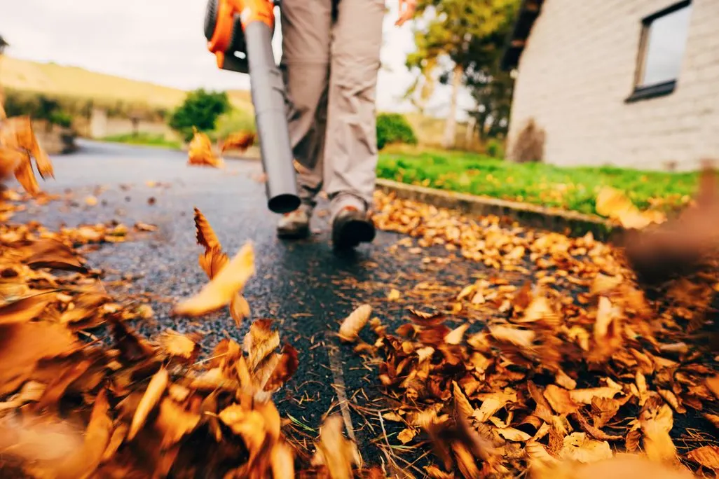 Person blaest Herbstlaub mit einem Laubblaser von einem Gehweg