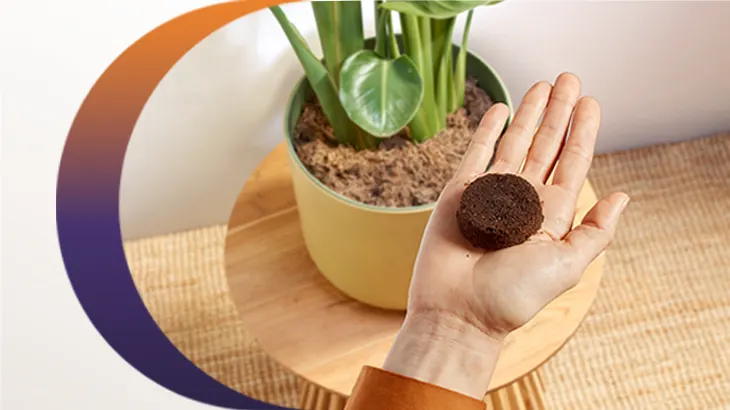 Hand hält einen runden Kaffeepuck aus gemahlenem Kaffeesatz vor einem Blumentopf – Hinweis auf nachhaltige Wiederverwendung als Pflanzendünger.
