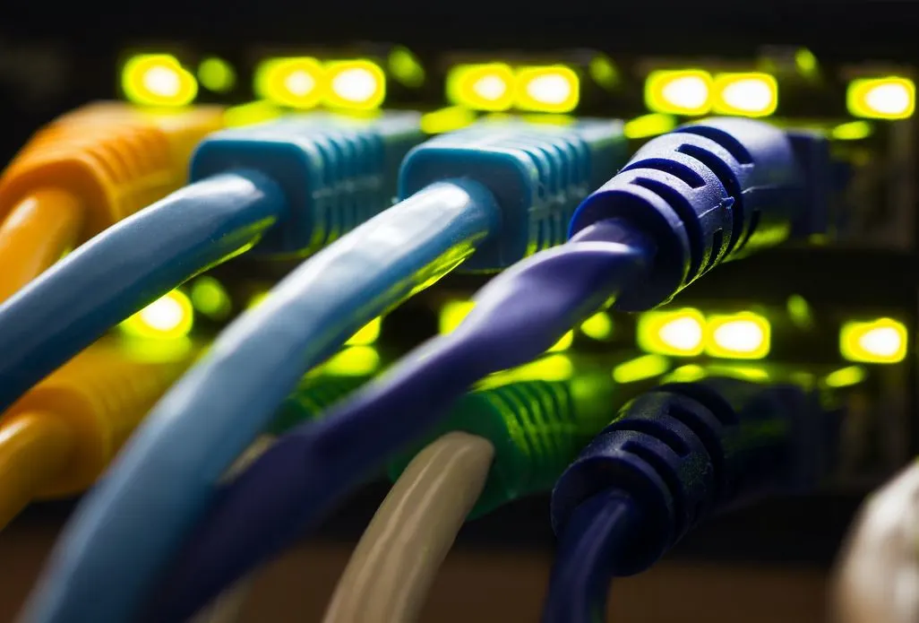 Mehrere Netzwerkkabel sind an einen Switch mit leuchtenden LED-Anzeigen angeschlossen