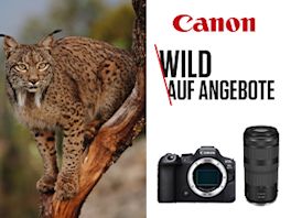 Canon – Wild auf Angebote