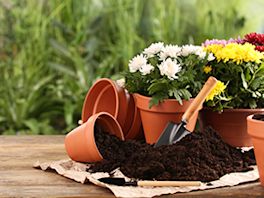 Perfekt für deinen Garten