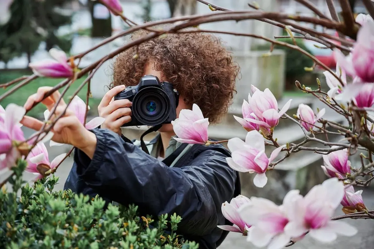 Eine Person mit lockigem Haar fotografiert rosa-weiße Magnolienblüten mit einer schwarzen Kamera, umgeben von blühenden Zweigen und grünem Laub.