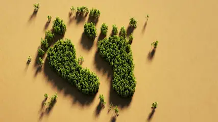 Grüne Bäume bilden die Form von zwei Fußabdrücken auf sandigem Boden.