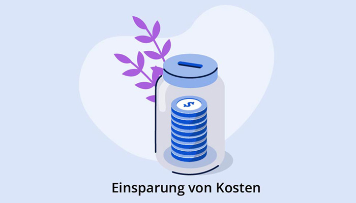 Einsparung von Kosten