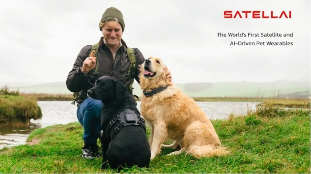 Ein Mann mit zwei großen Hunden in der Natur - ein Hund trägt ein smartes Hundegeschirr, der andere ein smartes Halsband von Satellai.